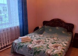 Двухкомнатная квартира в аренду, 56 м2, Сосновка, Октябрьская улица, 31