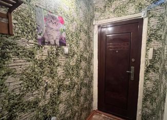 Двухкомнатная квартира на продажу, 44.3 м2, Нижегородская область, микрорайон Гоголя, 24