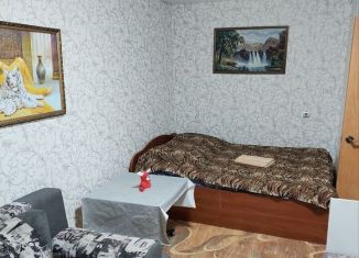 Сдам однокомнатную квартиру, 30 м2, Нижегородская область, Севастопольская улица, 17
