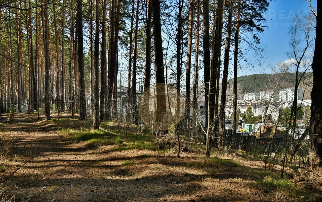 Улица лесная красноярск. Улица Лесная Красноярск остров. Лесное загородный поселок Красноярск. Премьер лес Красноярск.