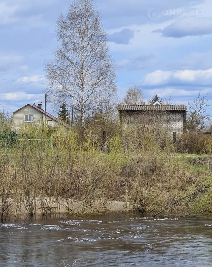 Купить Дачу В Новые Дарковичи Брянской Области