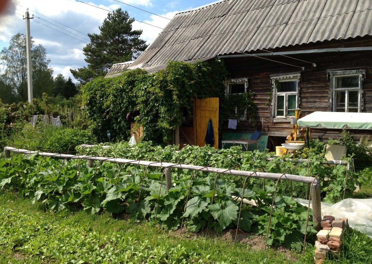Авито Новгородская Область Дачи Купить