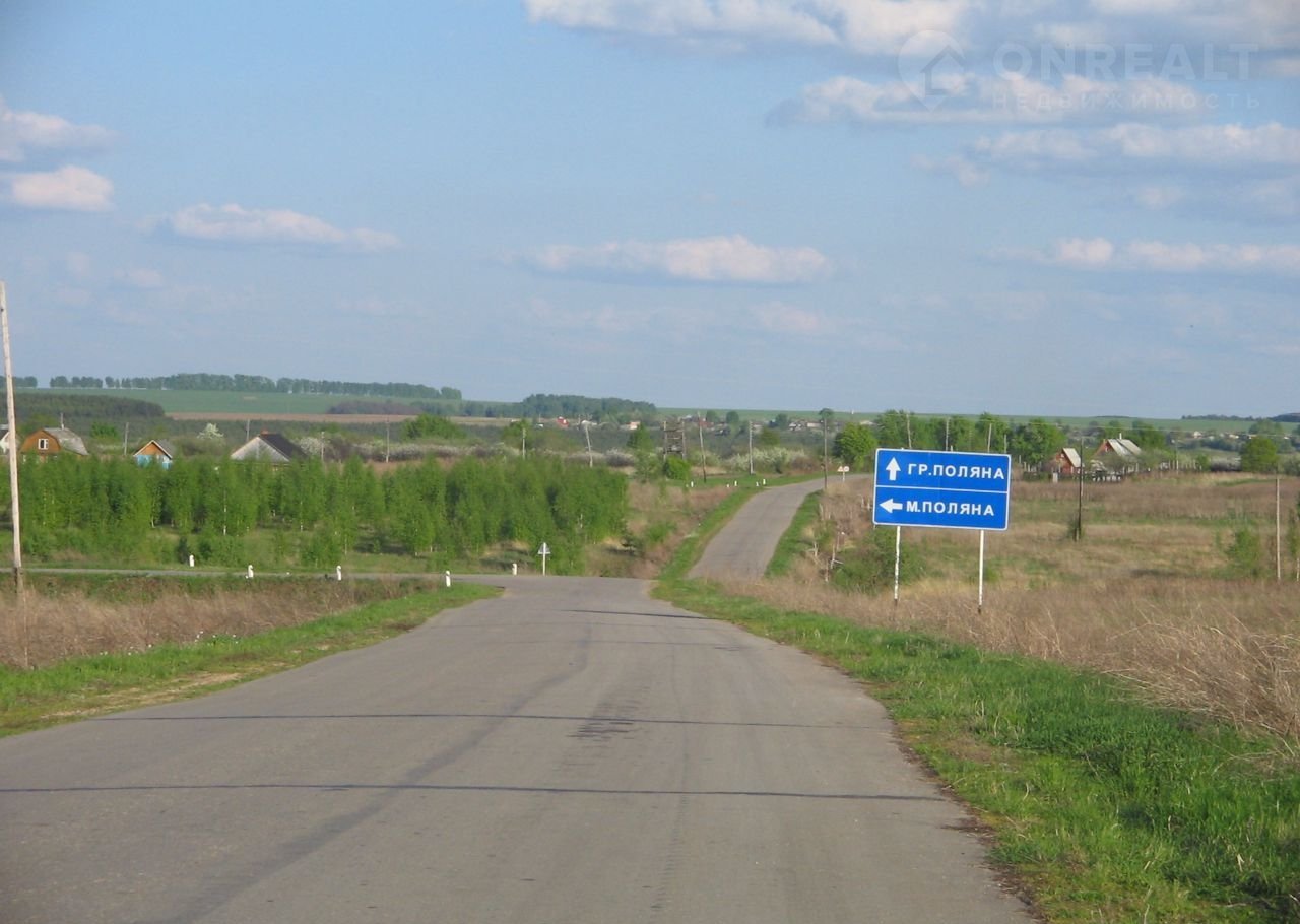 Малая поляна нижегородская область. Деревня малые Поляны.