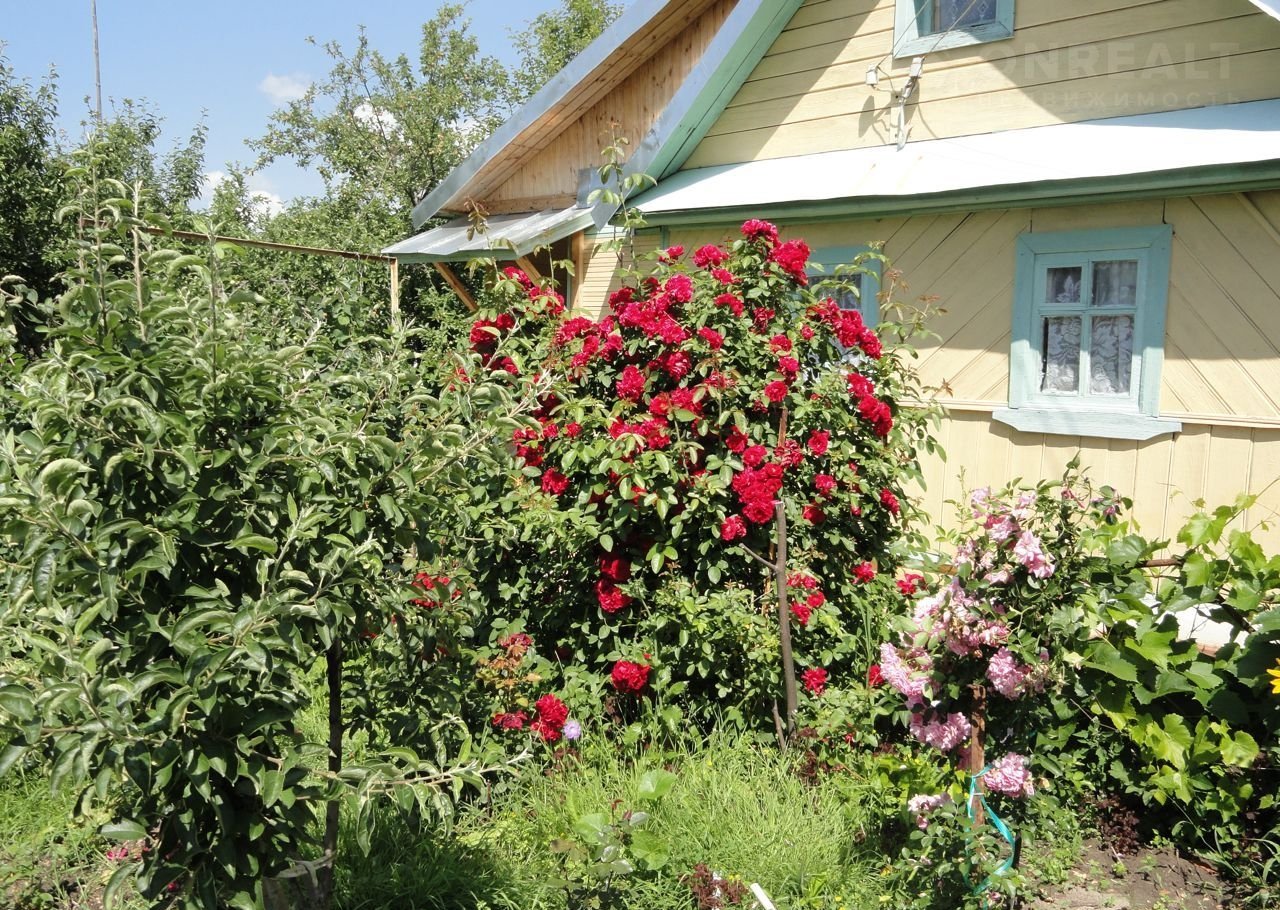 Дача В Нижегородской Области Купить С Фото