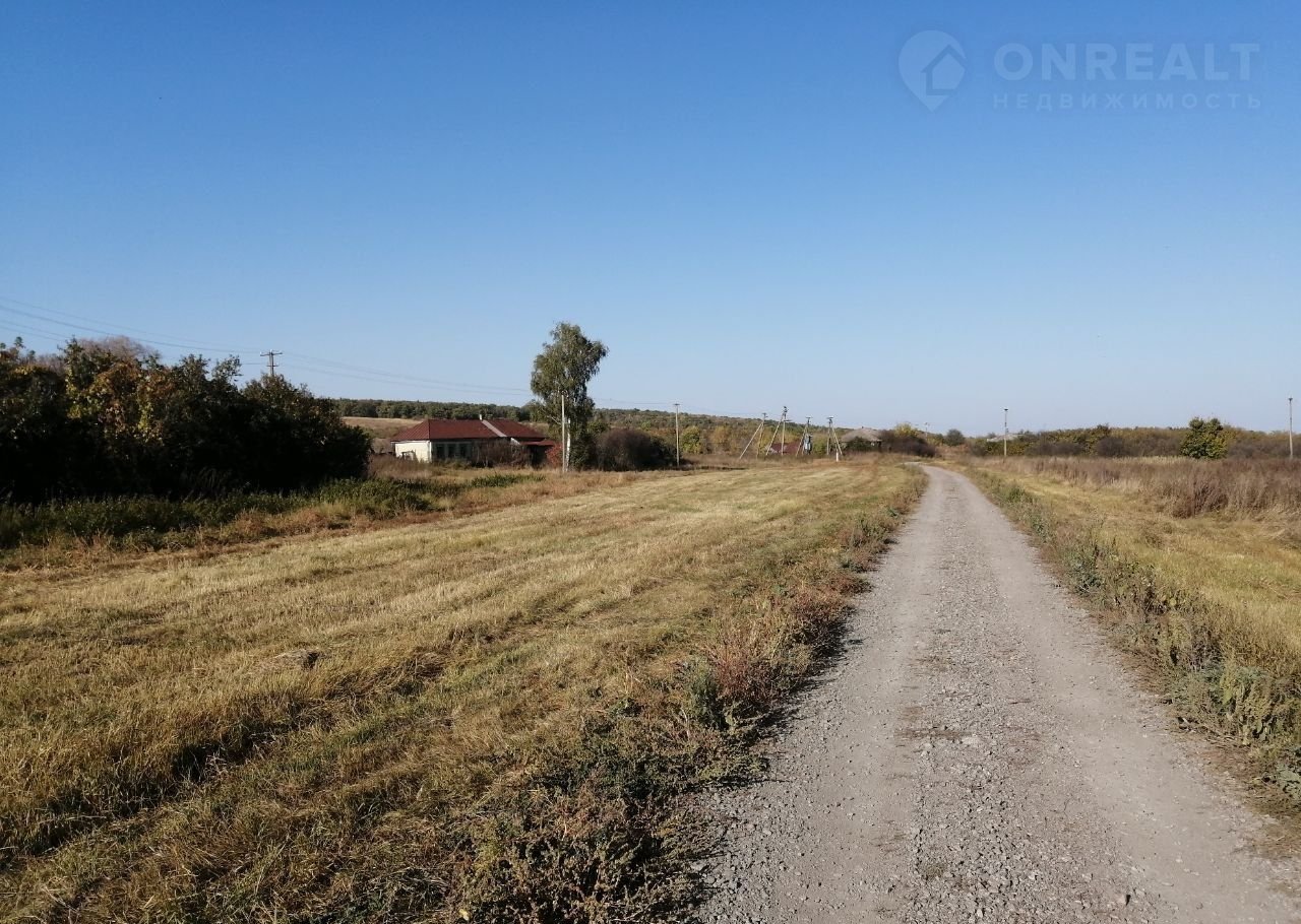 Село Новоспасовка Воронежской Области Фото