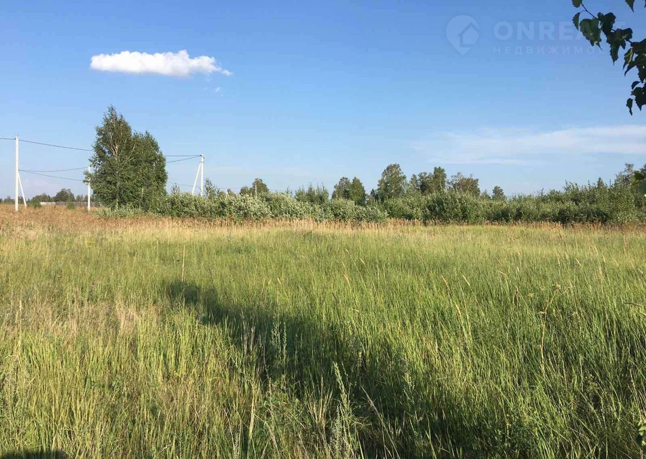 Село петровское челябинская область